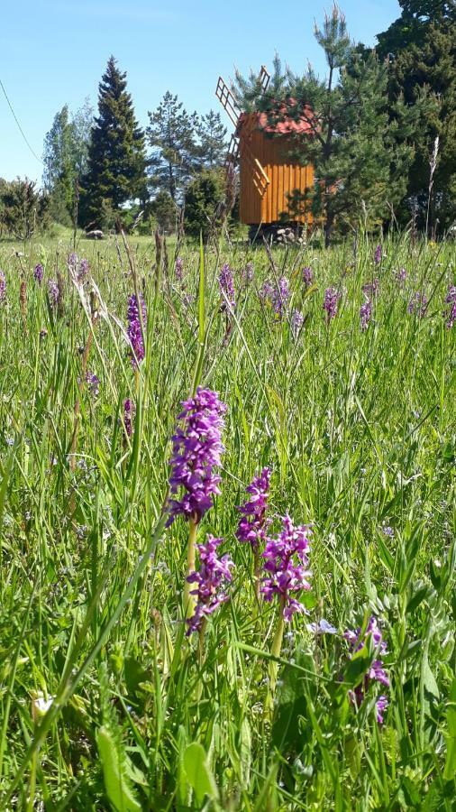 Sihi Country House Hiievalja Bagian luar foto